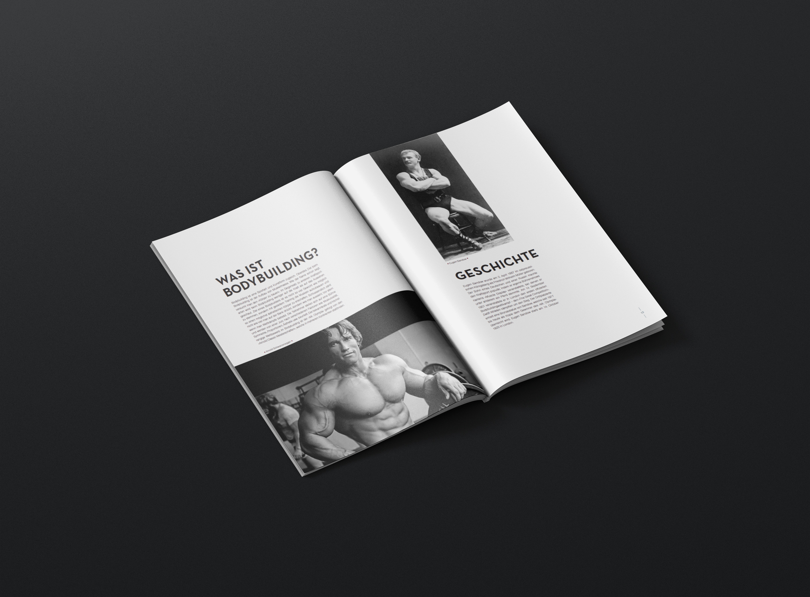 VA Bodybuilding Inhalt 1