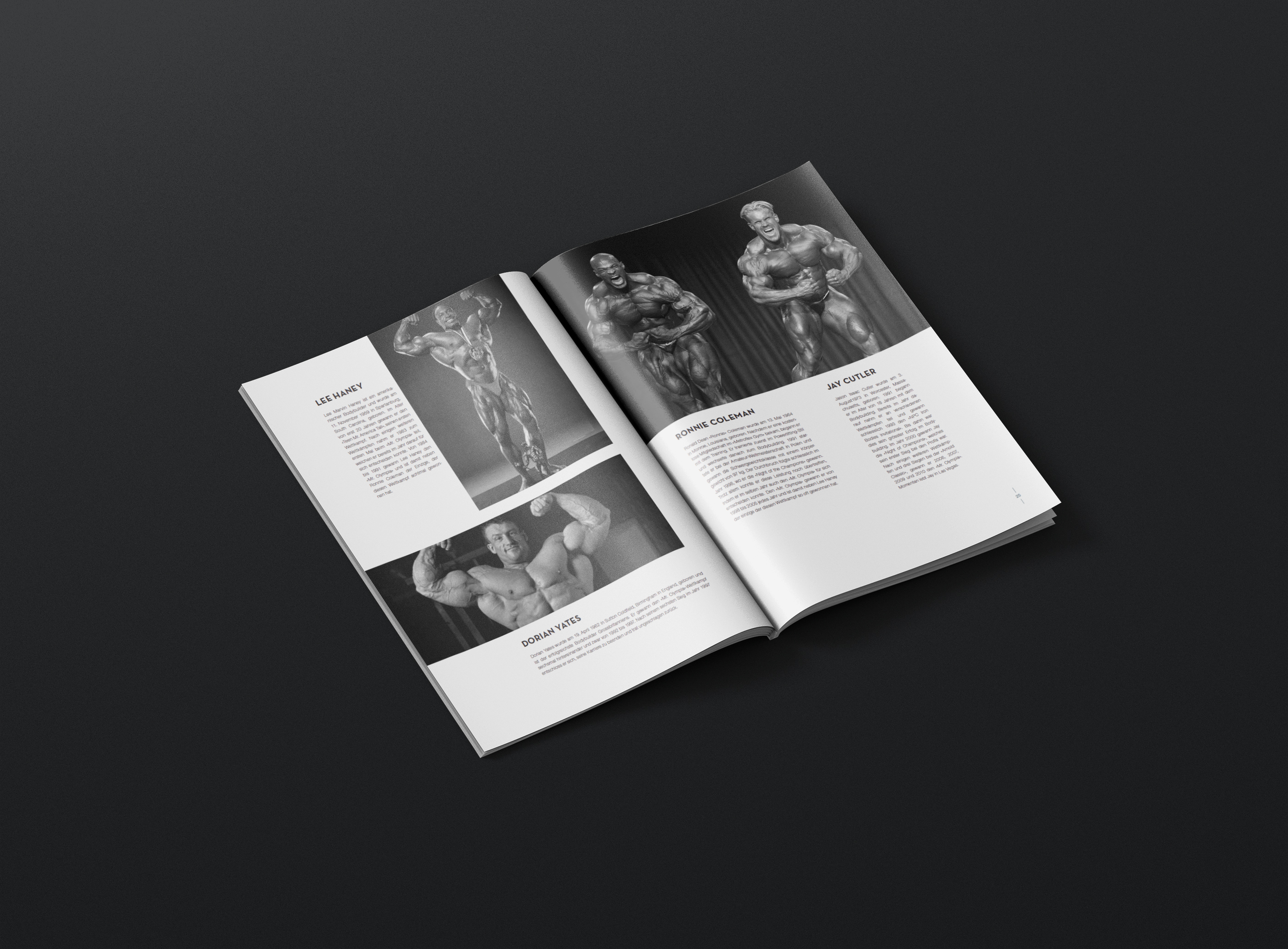 VA Bodybuilding Inhalt 3