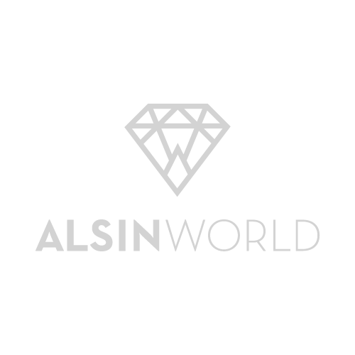 ALSIN WORLD